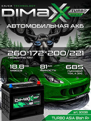 DIMAXX ASIA 81ah R+ (301081)