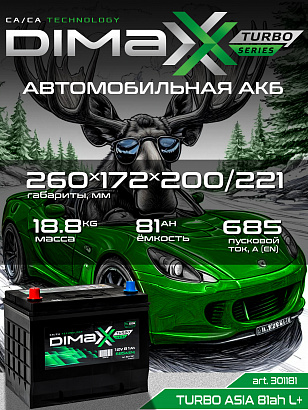 DIMAXX ASIA 81ah L+ (301181)